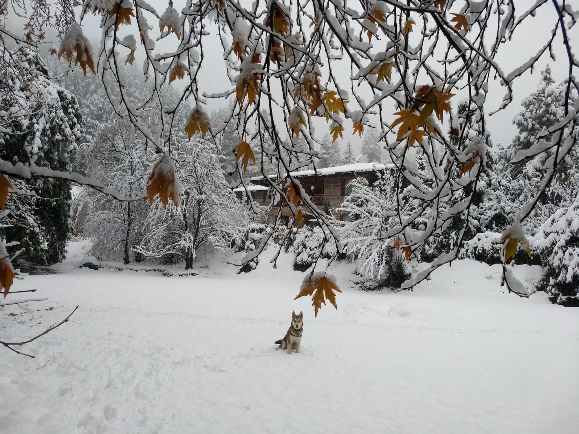 Banon Resorts Manali  Bagian luar foto