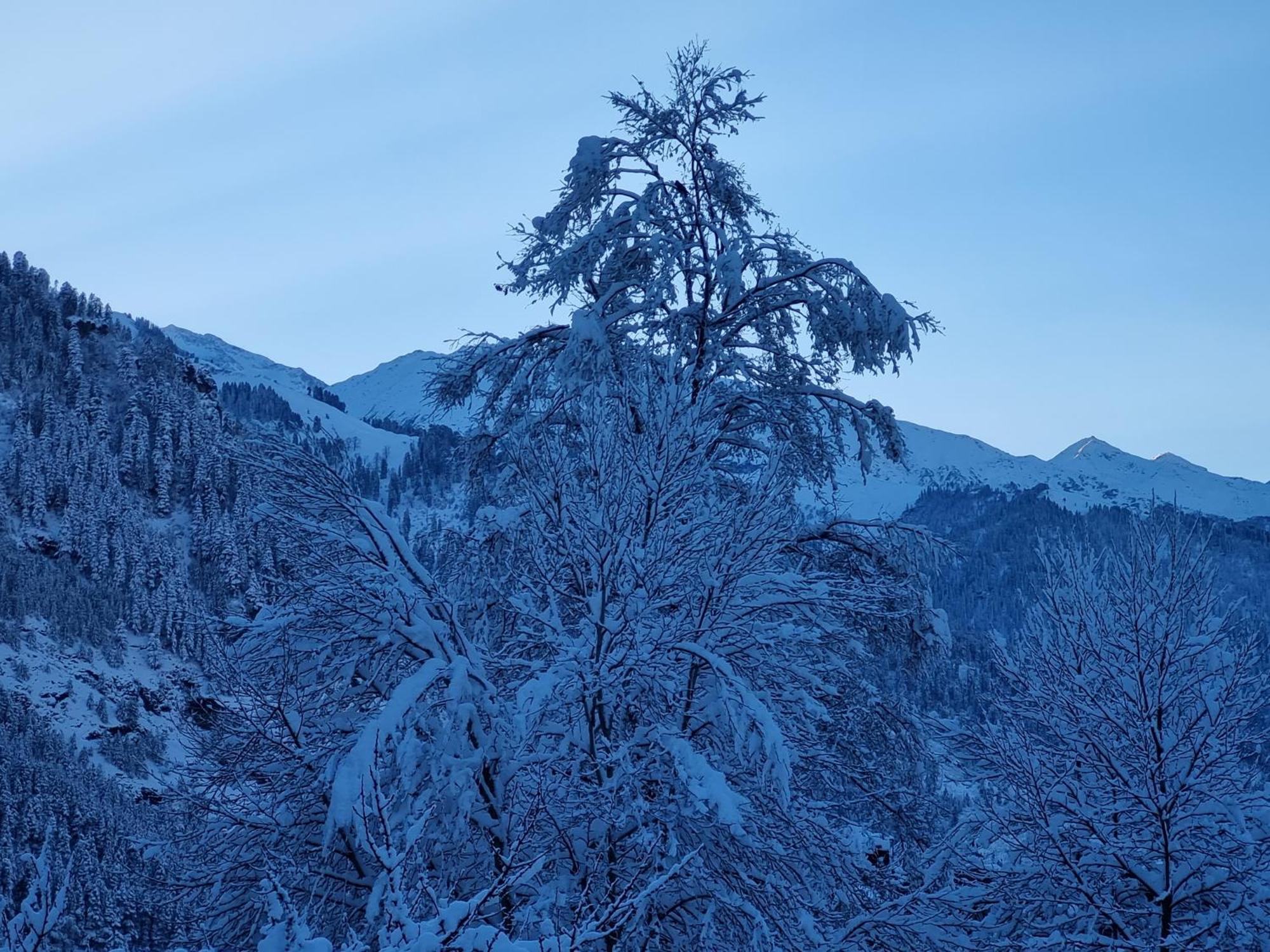 Banon Resorts Manali  Bagian luar foto