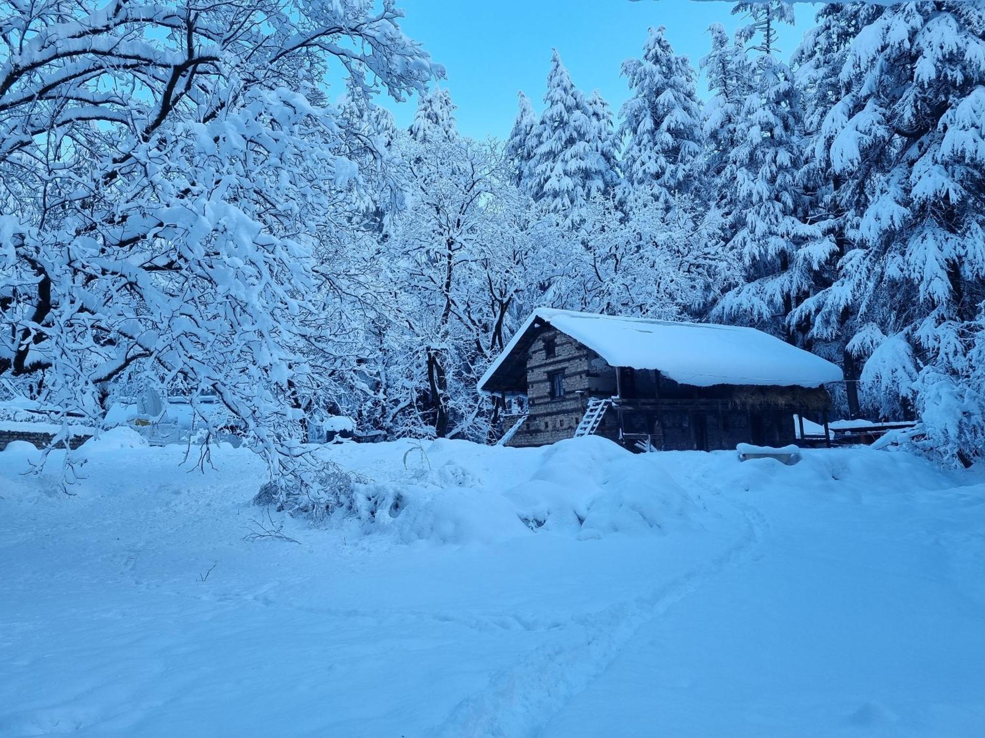 Banon Resorts Manali  Bagian luar foto