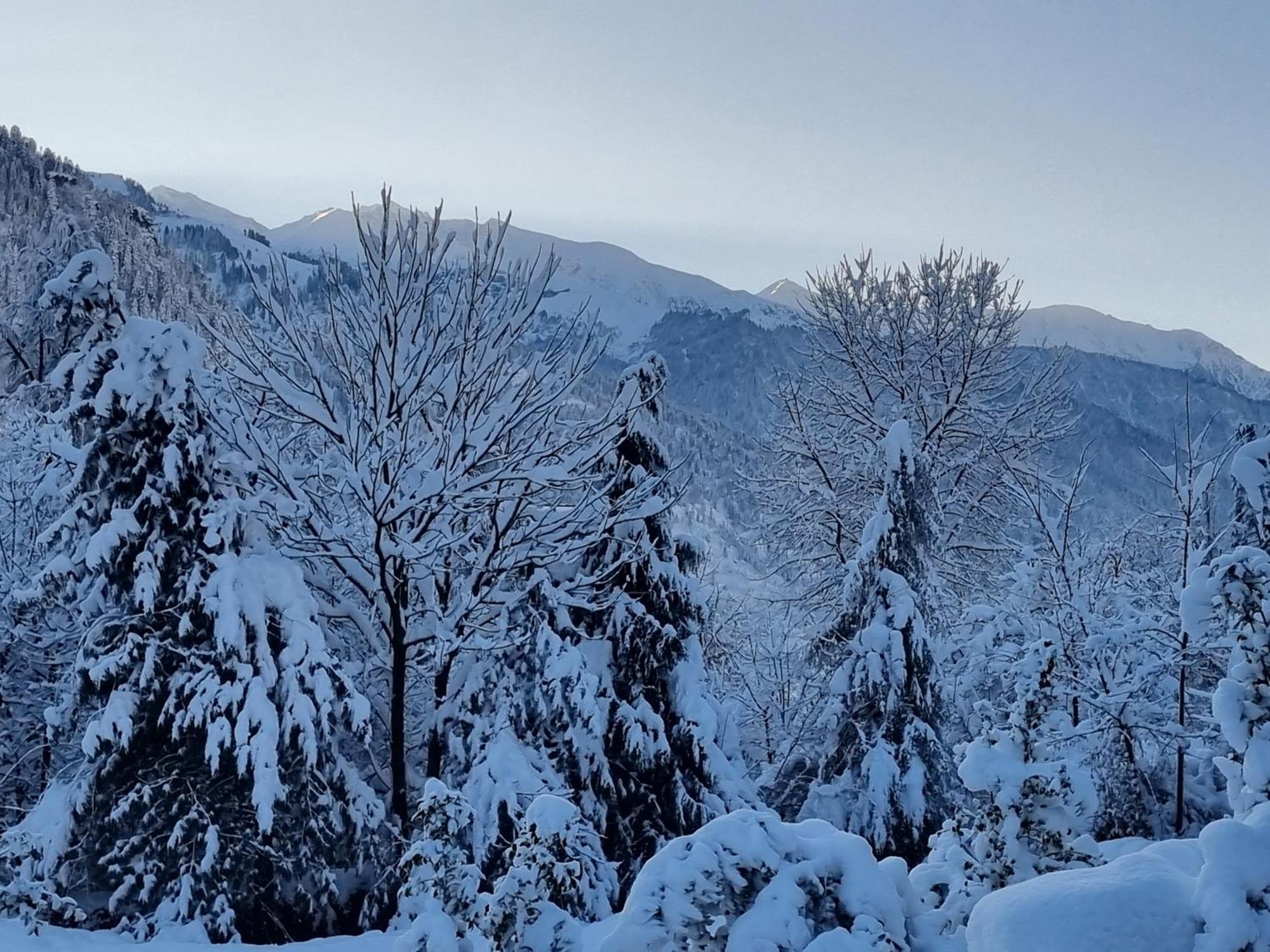 Banon Resorts Manali  Bagian luar foto